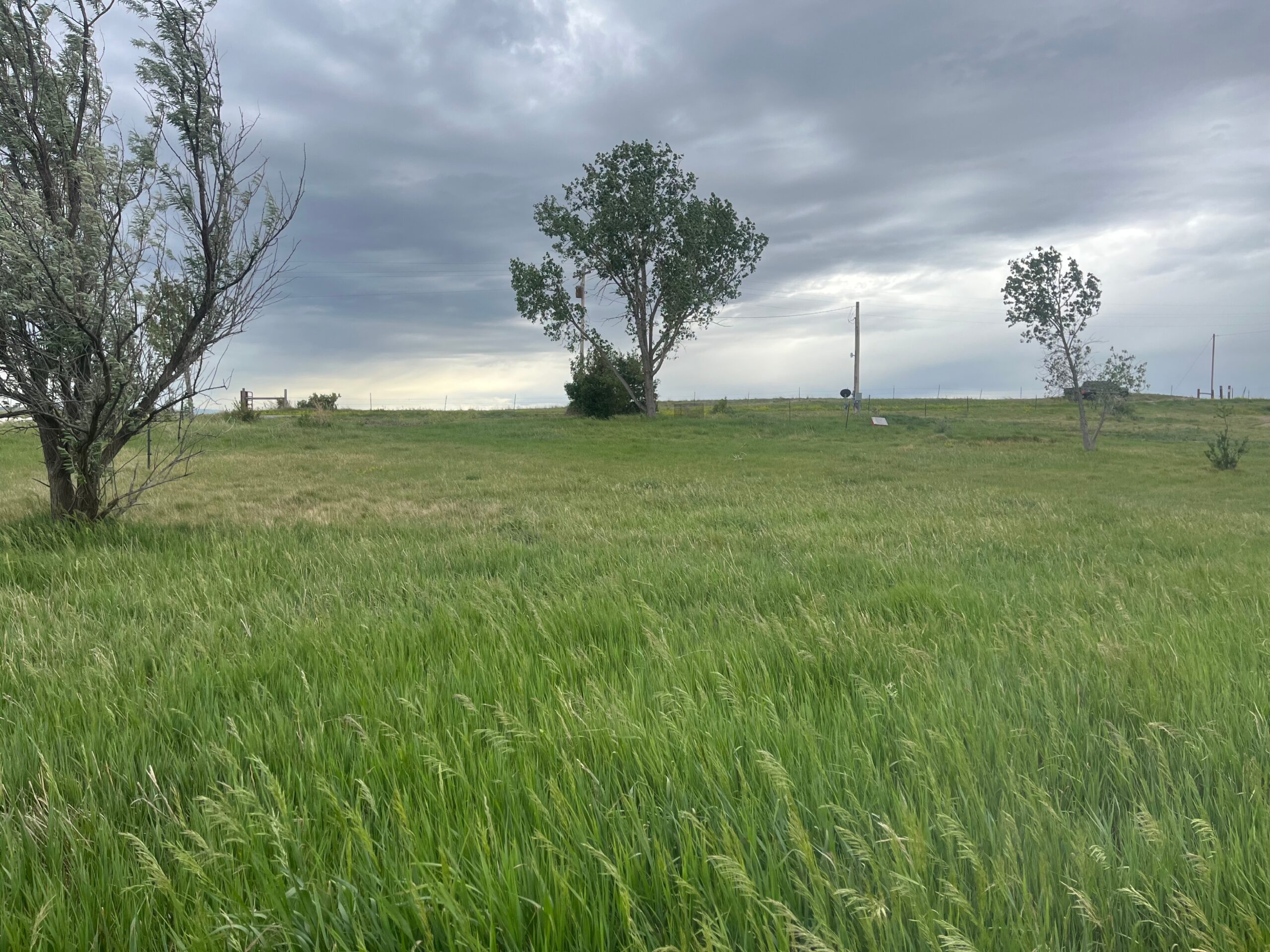 ¼ Acre Lot for MOTOR HOME, 5th WHEEL, etc. ¼ Acre Lot for MOTOR HOME, 5th WHEEL, etc.